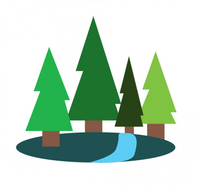 Pine Trees Forrest