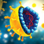 HCV Virus