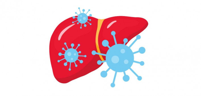 hepatitis C, HCV, liver. illustration liver and virus