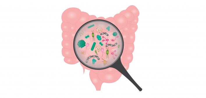 Bacterial overgrowth in small intestine.