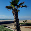 Silver Strand State Beach, Coronado, California