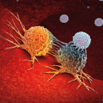 Cancer Immunotherapy as a human immune system therapy concept as a biomedical or biomedicine oncology treatment using the natural T cell fighting properties of the body as a 3D render.