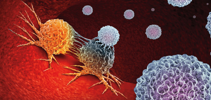 Cancer Immunotherapy as a human immune system therapy concept as a biomedical or biomedicine oncology treatment using the natural T cell fighting properties of the body as a 3D render.