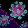 Layout featuring colorized 3D prints of HIV virus particles (pink with teal surface proteins) and a background image that is a colorized transmission electron micrograph of HIV virus particles (pink) budding and replicating from an H9 T cell (purple). Mic