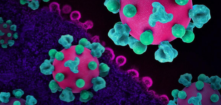 Layout featuring colorized 3D prints of HIV virus particles (pink with teal surface proteins) and a background image that is a colorized transmission electron micrograph of HIV virus particles (pink) budding and replicating from an H9 T cell (purple). Mic