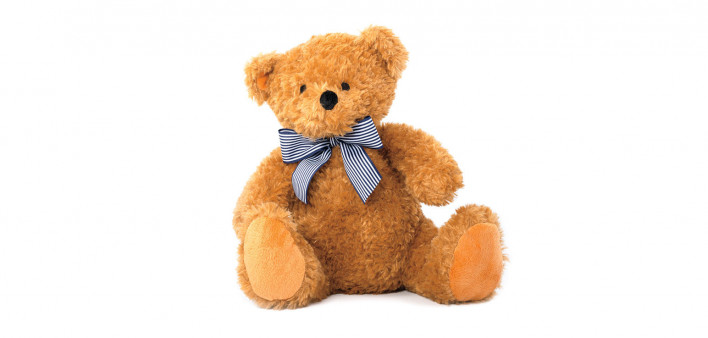 Teddy Bear