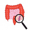intestines and dna