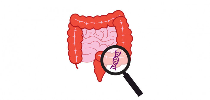 intestines and dna