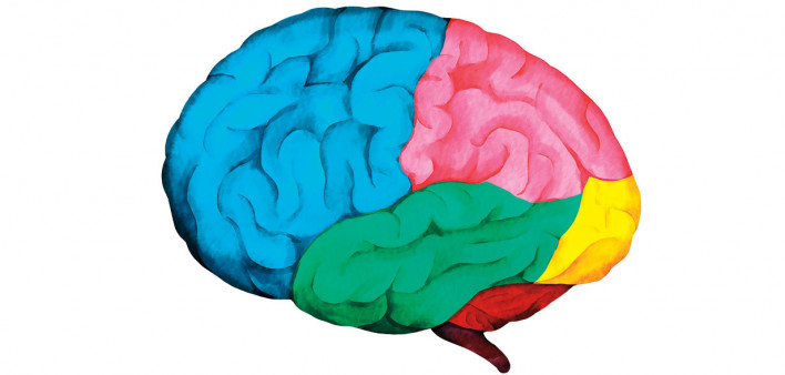 colorful painting of a brain