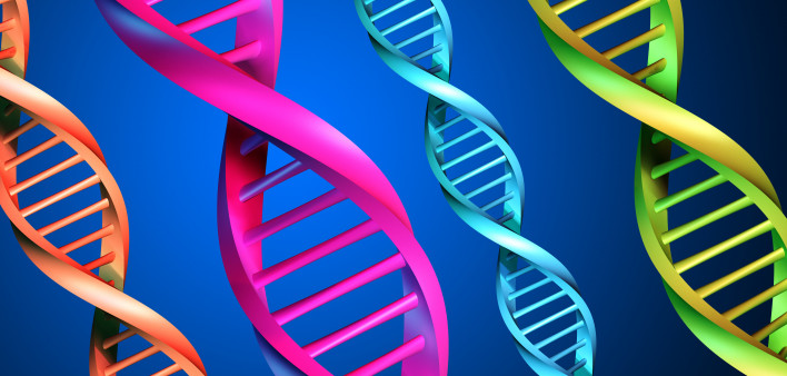 DNA-multicolor
