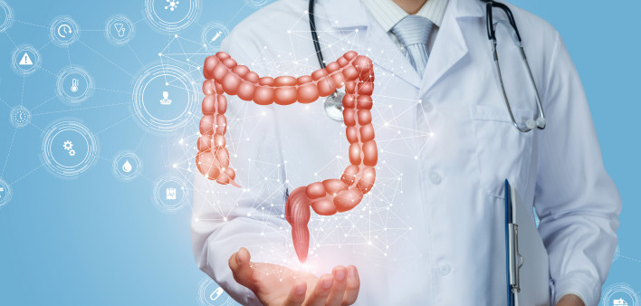 Doctor shows the colon of a person