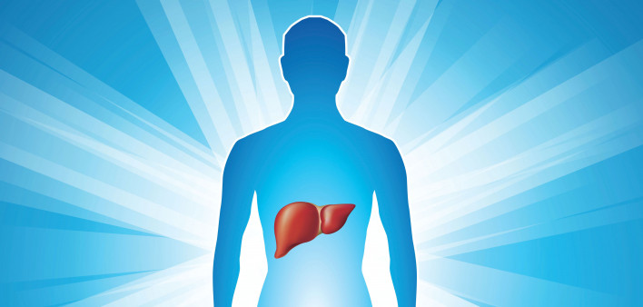 illustration human body glowing with liver