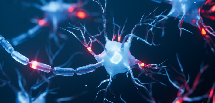 Biology nerve cell with biomedicine concept,