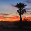 Sunset near Dateland, Arizona