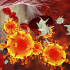 COVID-19 virus particles and activated platelets in blood stream