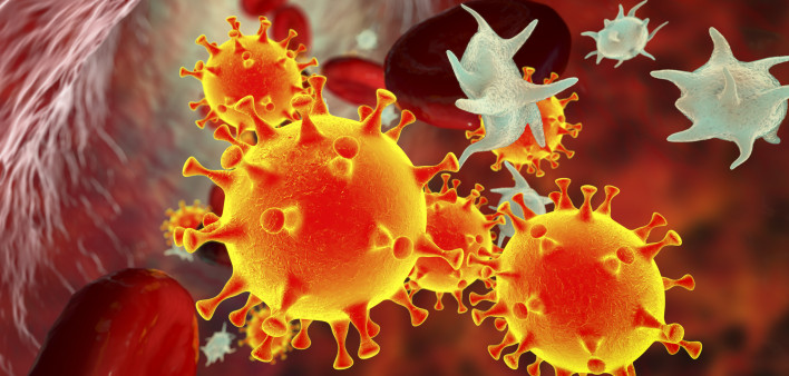 COVID-19 virus particles and activated platelets in blood stream stock photo Coronavirus, Hypertensive, Illustration, Lung, Artery