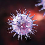 Epstein-Barr virus illustration