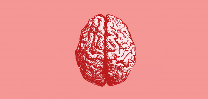 Brain