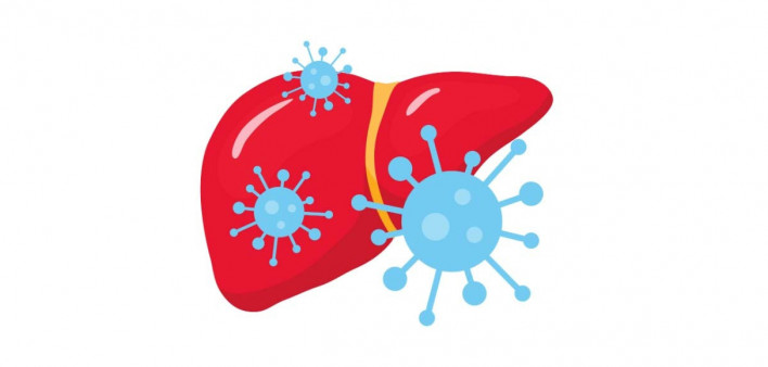 hepatitis C, HCV, liver. illustration liver and virus