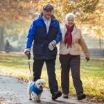 Senior couple are walking their dog through a public park in Autumn.