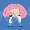 illustration doctors brain heart band aid