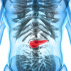 The pancreas produces enzymes that help digest food. Cells within the organ also produce the hormones insulin and glucagon, which control blood sugar levels.
