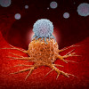 CAR-T therapy in which modified T cells (illustrated in white) attack cancer