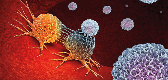 Cancer Immunotherapy as a human immune system therapy concept as a biomedical or biomedicine oncology treatment using the natural T cell fighting properties of the body as a 3D render.