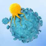 T cells (yellow) use their T-cell receptors to recognize target cells like cancer cells (blue).