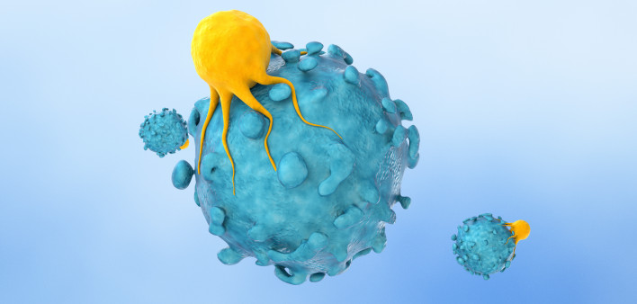 T cells (yellow) use their T-cell receptors to recognize target cells like cancer cells (blue).