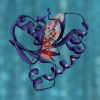 KRAS protein structure