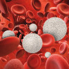 3D rendering of white and red blood cells