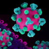 Layout featuring colorized 3D prints of HIV virus particles (pink with teal surface proteins) and a background image that is a colorized transmission electron micrograph of HIV virus particles (pink) budding and replicating from an H9 T cell (purple). Mic