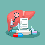 tiny doctor character diagnoses liver. vector illustration.