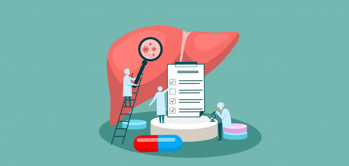 tiny doctor character diagnoses liver. vector illustration.