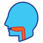 illustration of head and throat