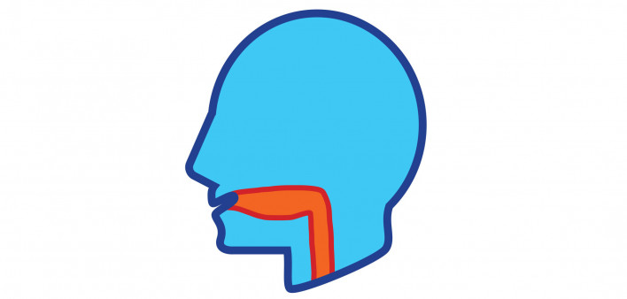 illustration of head and throat