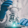 blue gloves microscope in lab