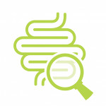 illustation magnifying glass looking at intestines colon