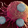 T cells attacking cancer cell