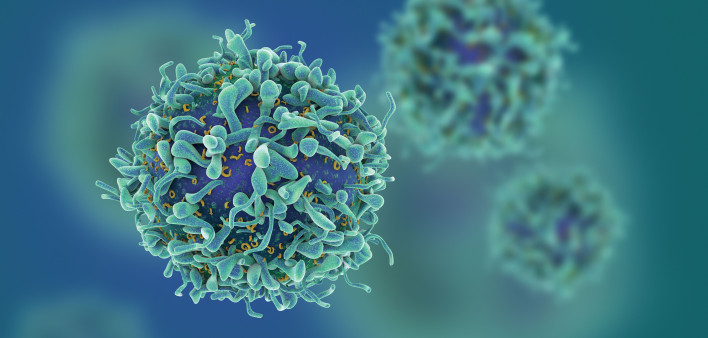 T-cells