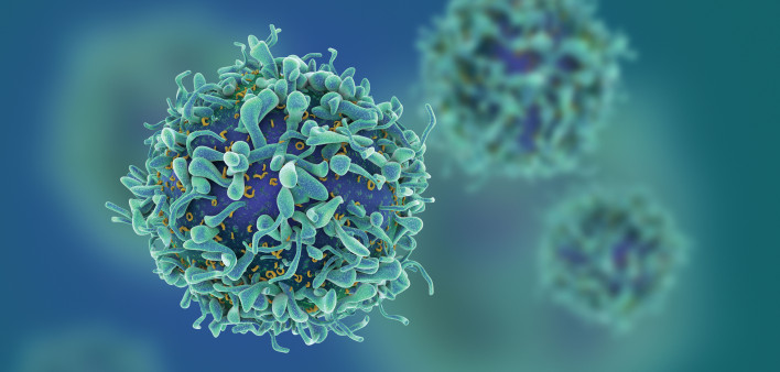 T-cells