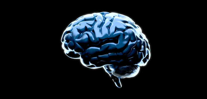 Brain