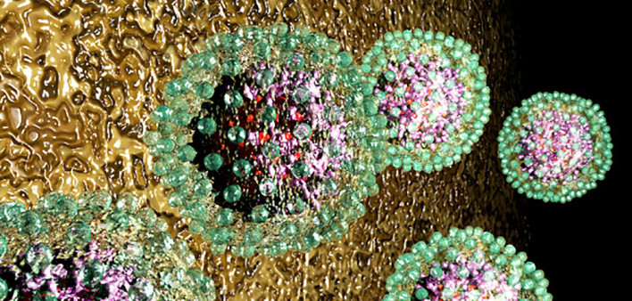 hepatitis B, HBV