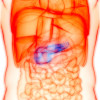 The pancreas produces enzymes that help digest food. Cells within the organ also produce the hormones insulin and glucagon, which control blood sugar levels.
