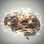 illustration of the brain