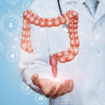 Doctor shows the colon of a person