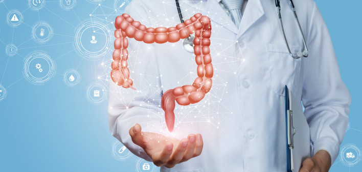 Doctor shows the colon of a person