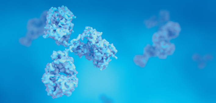 Antibodies, Immunoglobulin Ig proteins