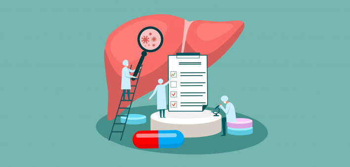 tiny doctor character diagnoses liver. vector illustration.